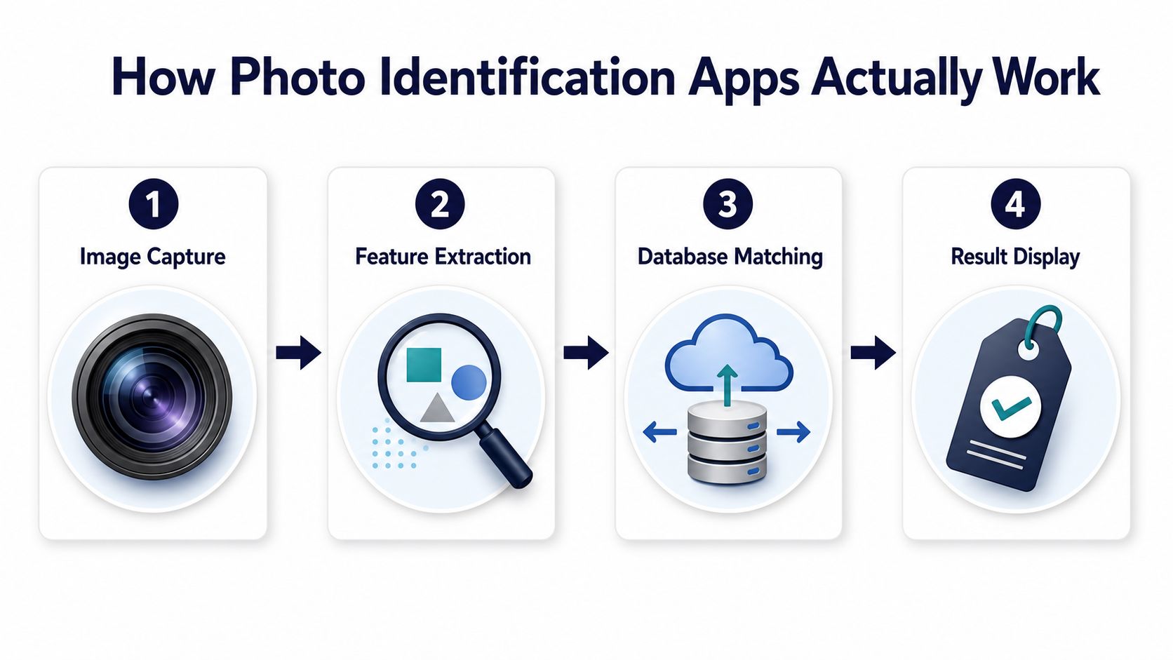 A diagram illustrating the four steps of how photo identification apps process and recognize image data.